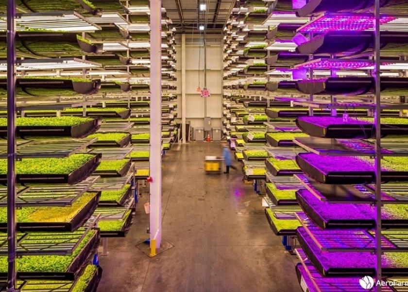 AeroFarms To Expand Its Indoor Vertical Farms Into The Midwest | The Packer